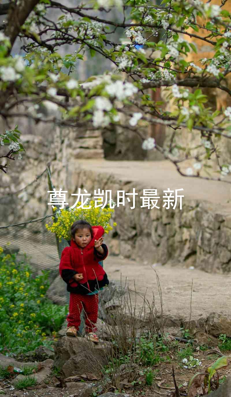 尊龙凯时最新