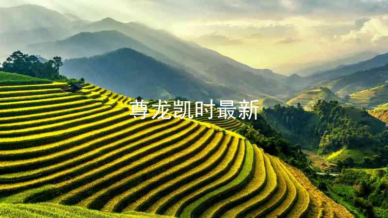 尊龙凯时最新